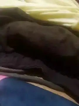 Snapshot of jarmesr7x chatting on January 2025 02:42:02 AM jarmesr7x online show from January 2025 02:42:02 AM