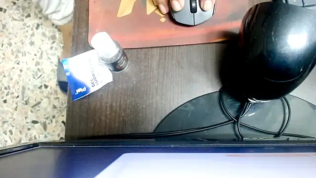 Snapshot of Warning_Boy chatting on December 2024 11:53:02 PM Warning Boy online show from December 2024 11:53:02 PM