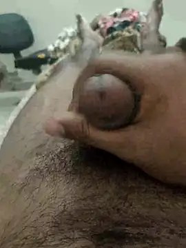 chinchi online show from February 2025 11:34:02 AM