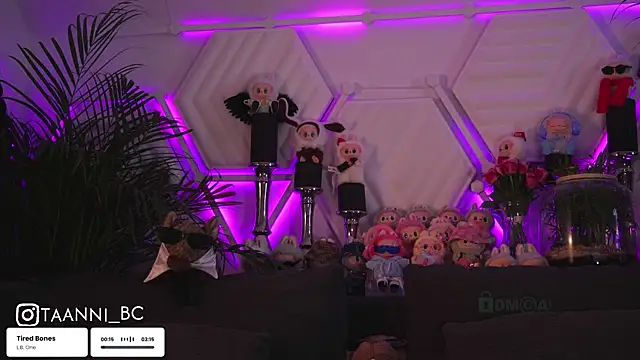 taanni bc online show from October 2025 11:16:01 PM