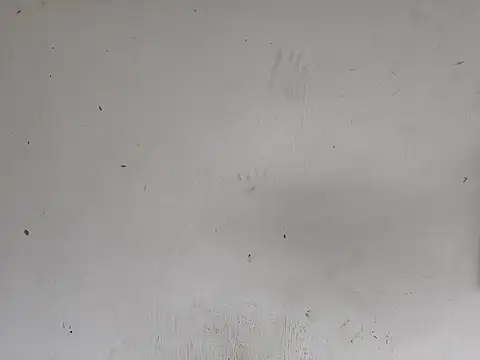 fs carioca online show from December 2025 08:26:01 PM