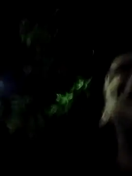 whoislone online show from February 2025 12:51:02 AM