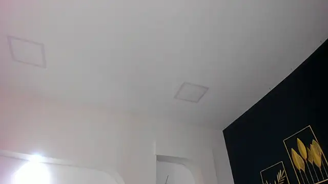 sara  jones gh online show from November 2025 04:41:02 PM