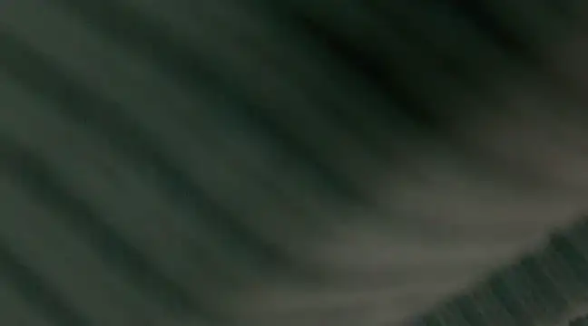 giselao online show from January 2025 04:15:01 AM