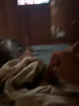 Snapshot of ferdi190 chatting on October 2025 10:58:02 AM ferdi190 online show from October 2025 10:58:02 AM