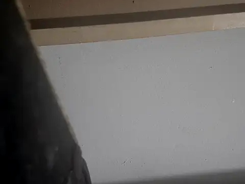 Snapshot of filthymind619 chatting on January 2025 05:00:01 AM filthymind619 online show from January 2025 05:00:01 AM