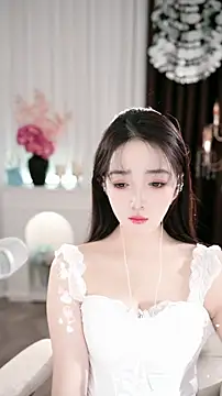 Snapshot of WenBao-Bao chatting on November 2025 06:17:02 AM WenBao-Bao online show from November 2025 06:17:02 AM