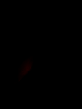 xxxxGuruxxxx online show from March 2025 06:38:02 AM