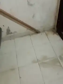 Jinenez online show from February 2025 08:37:02 AM