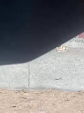 Jinenez online show from March 2025 12:00:01 PM