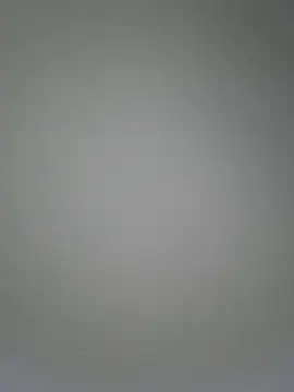 Jinenez online show from March 2025 11:23:01 PM