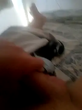 jacaranduba07 online show from January 2025 06:28:01 PM