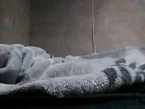 Snapshot of LaneYam chatting on March 2026 08:03:01 PM LaneYam online show from March 2026 08:03:01 PM