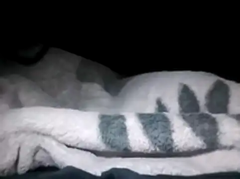 Snapshot of LaneYam chatting on March 2026 12:32:02 AM LaneYam online show from March 2026 12:32:02 AM