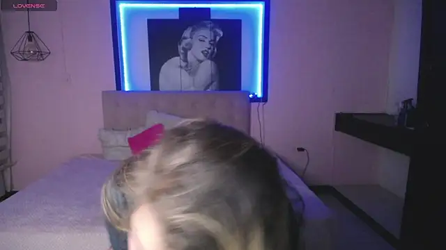 Kitten Cam online show from November 2025 03:16:02 AM