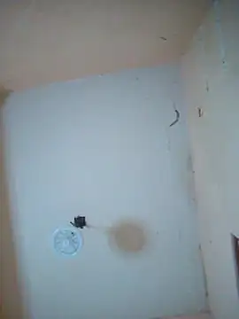 LuisMex1998 online show from November 2025 02:21:01 AM