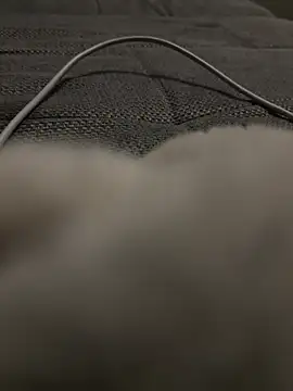 hengst2312 online show from January 2025 06:10:02 PM