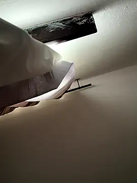 blissdimicco online show from September 2025 09:54:01 AM