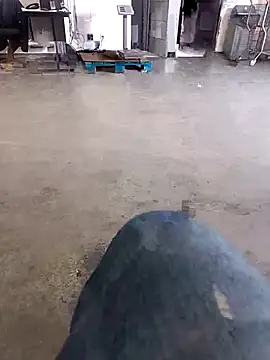 Snapshot of Trixboy201 chatting on September 2025 07:19:02 PM Trixboy201 online show from September 2025 07:19:02 PM