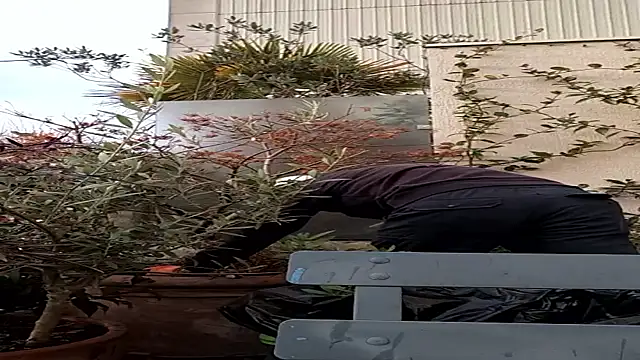 Snapshot of Vyda4 chatting on November 2025 08:31:02 AM Vyda4 online show from November 2025 08:31:02 AM