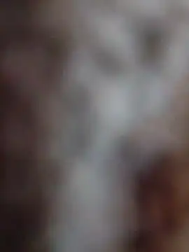 mhmia online show from February 2026 03:51:01 PM