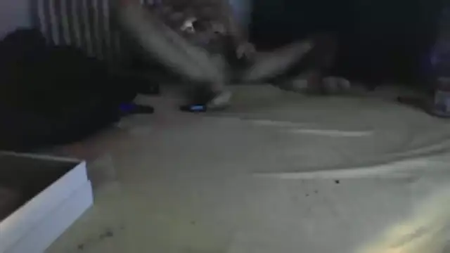 Damn bro23 online show from January 2026 08:51:02 PM