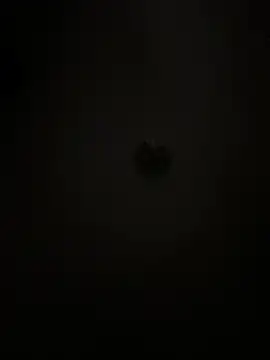 Snapshot of Boneca25 chatting on February 2026 08:30:02 AM Boneca25 online show from February 2026 08:30:02 AM