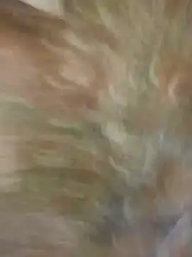 Santiago-Thompson online show from January 2025 08:23:02 PM