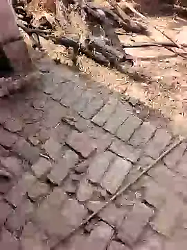 xmanrawan2 online show from February 2026 07:16:02 AM