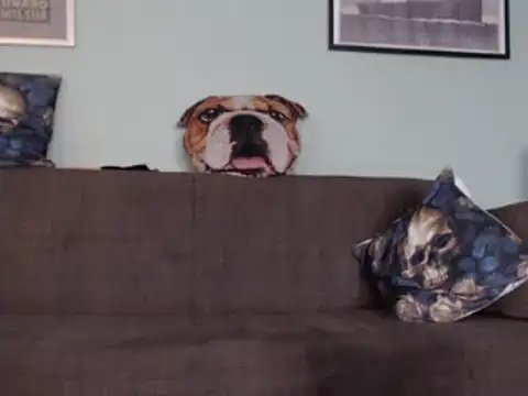 Astrid-Gilbert online show from February 2025 11:12:02 AM