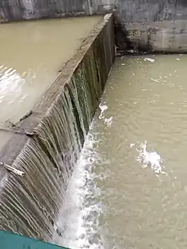 Pourleplasirs online show from February 2025 04:04:02 PM