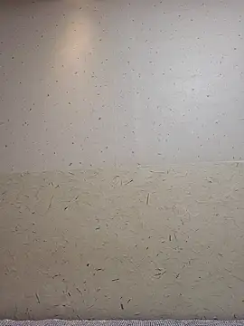 Tyyyggjju online show from October 2025 07:03:01 PM