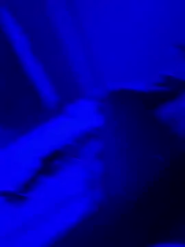 bigbola304 online show from March 2026 02:13:01 AM