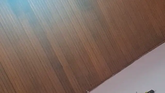 kyliebigboobs online show from September 2025 02:00:02 PM