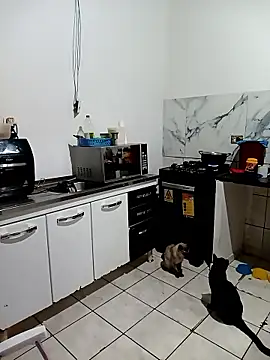 Snapshot of Pantaneirasexy chatting on November 2025 04:31:02 PM Pantaneirasexy online show from November 2025 04:31:02 PM