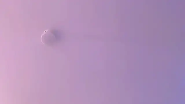 leahaltomm online show from April 2026 02:26:02 AM