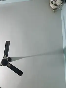 Babybird online show from February 2025 08:42:01 PM