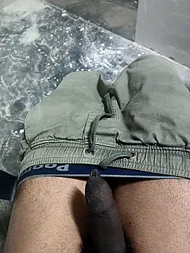 Snapshot of omni_333 chatting on January 2026 04:33:01 PM omni 333 online show from January 2026 04:33:01 PM