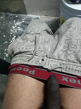 Snapshot of omni_333 chatting on February 2026 01:17:01 PM omni 333 online show from February 2026 01:17:01 PM