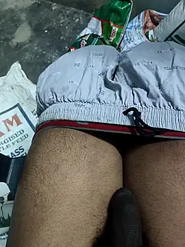 Snapshot of omni_333 chatting on February 2026 01:21:01 PM omni 333 online show from February 2026 01:21:01 PM