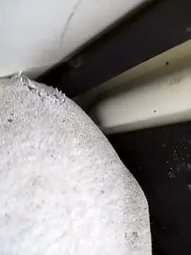 Snapshot of dominationmybigdick chatting on October 2025 10:36:01 AM dominationmybigdick online show from October 2025 10:36:01 AM