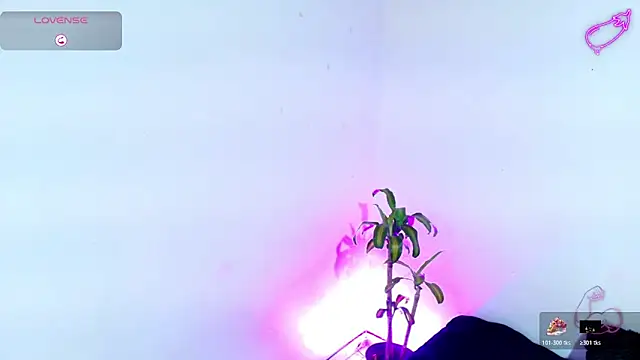 7 Saturno 7 online show from March 2026 03:39:02 PM