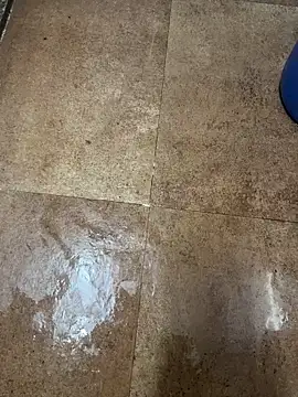 man16101 online show from December 2025 01:40:01 PM