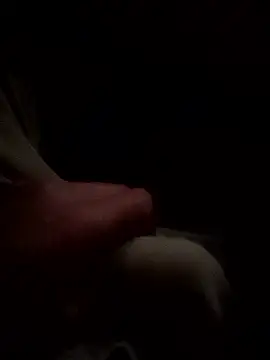 Arabian online show from January 2026 06:59:02 AM