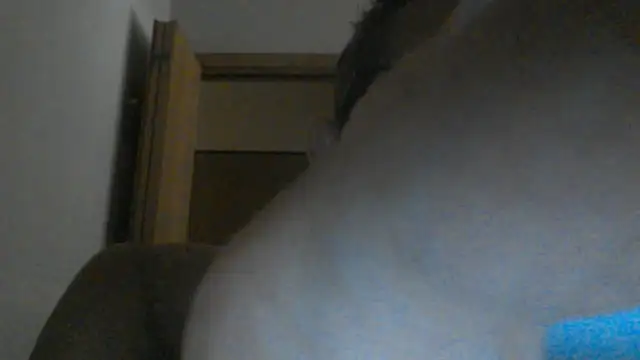 Snapshot of eccomi6996 chatting on June 2026 08:52:01 AM eccomi6996 online show from June 2026 08:52:01 AM