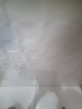 allisonbr online show from February 2026 08:27:02 AM