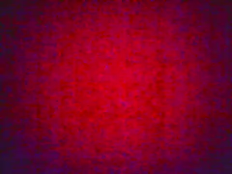 allisonbr online show from February 2026 01:01:02 PM