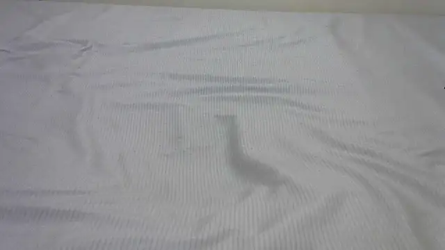 Snapshot of SweetTeaseX chatting on February 2025 04:50:02 PM SweetTeaseX online show from February 2025 04:50:02 PM