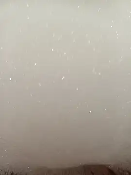 flo000031 online show from January 2026 12:53:01 PM