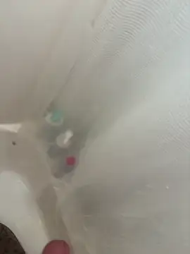 danyh2023 online show from March 2026 04:09:01 PM